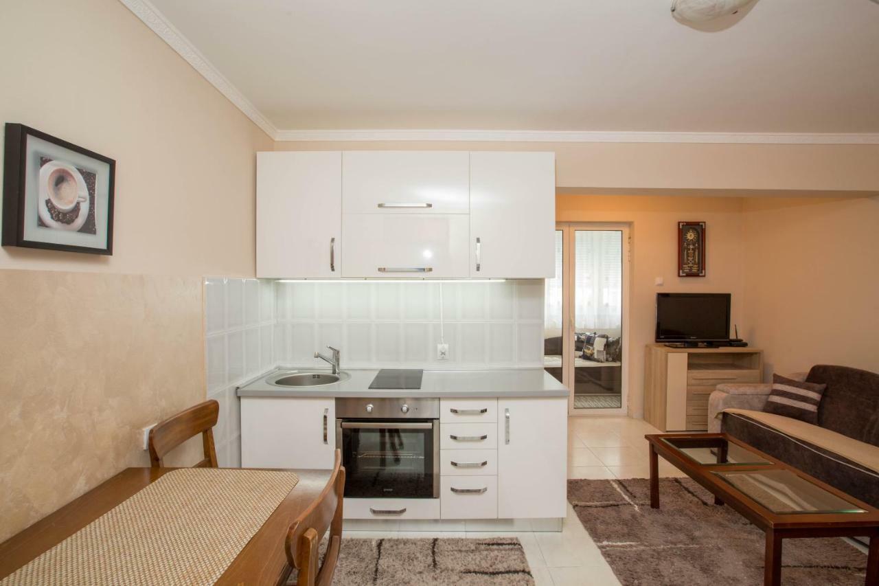 Apartament Valentina Apartman Petrovac Zewnętrze zdjęcie